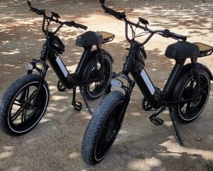 Affordable E-Bikes in Turks