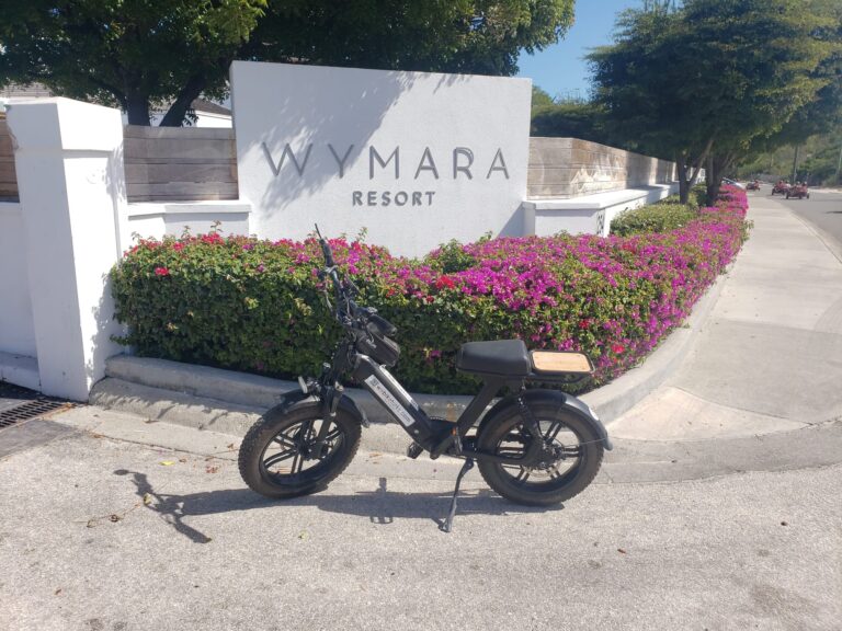 Affordable Electric Bike Rental Turks